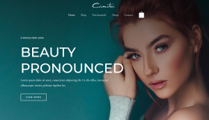 Portfolio 7 300x172 1